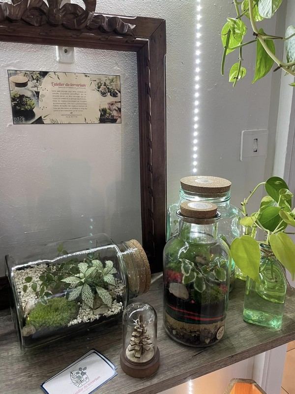 Atelier Terrarium