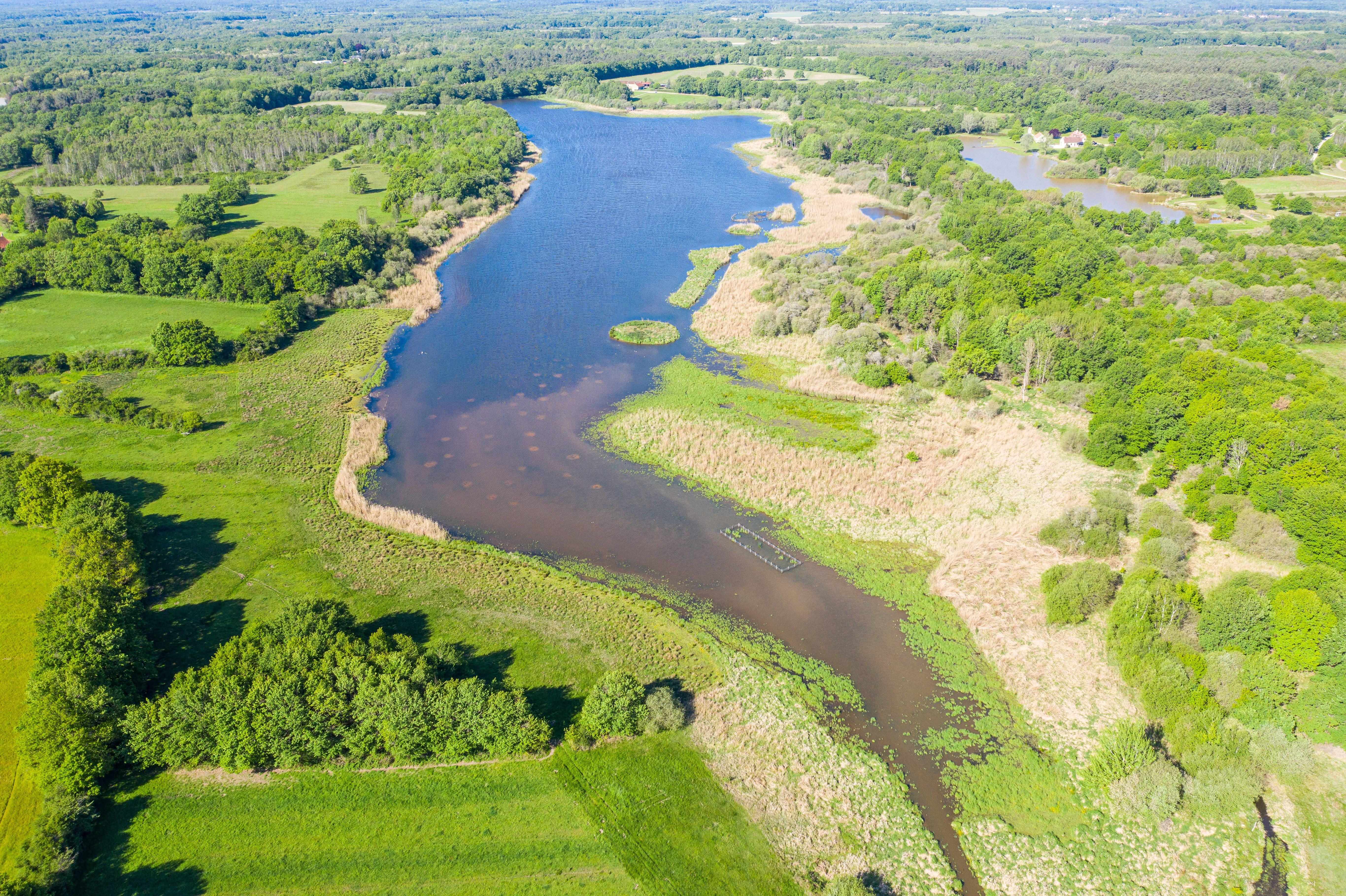Etang de Beaumont - Conservatoire d'espaces naturels Centre-Val de Loire