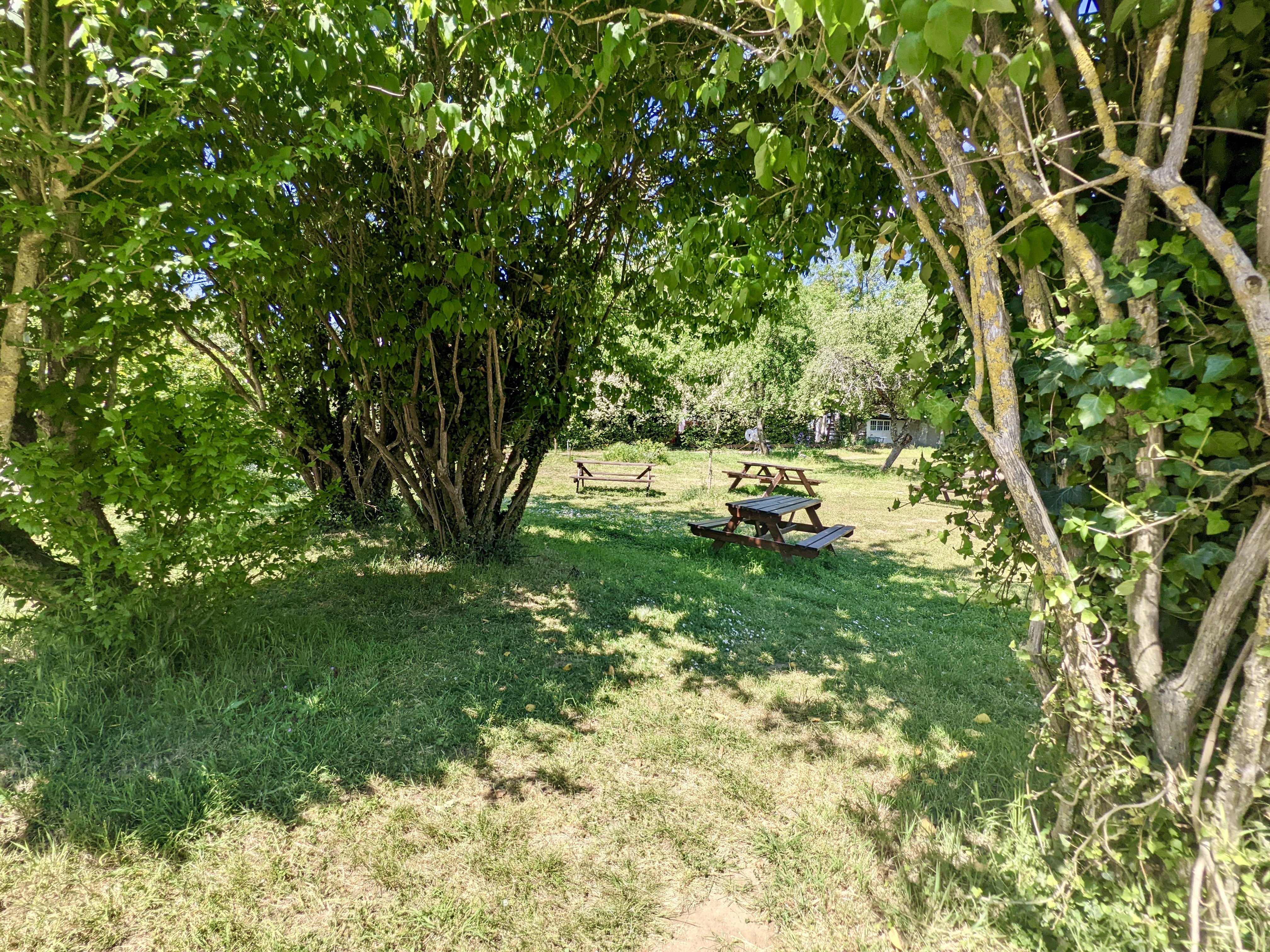 PEP 41 LES CHAMPS FLEURIS