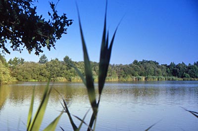 Les étangs de Sologne (circuits accompagnés)  France Centre-Val de Loire Loir-et-Cher Romorantin-Lanthenay 41200