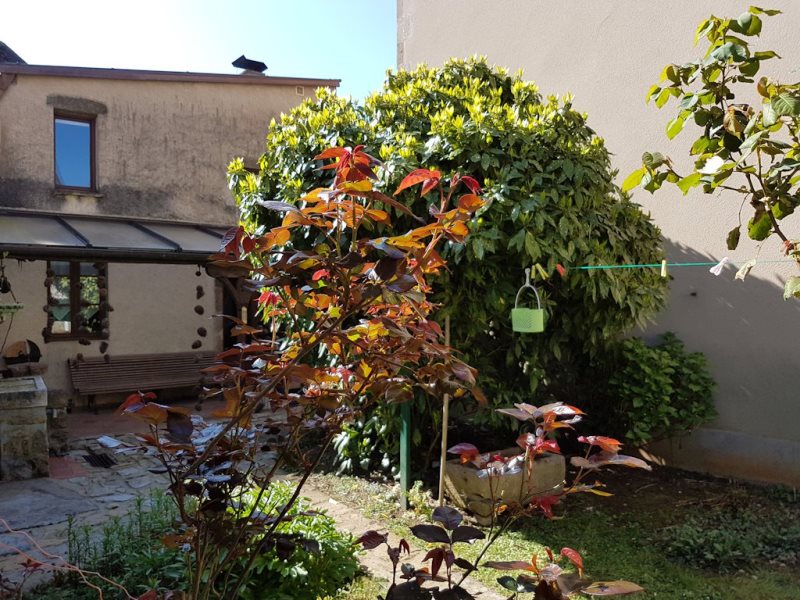 Petite maison La Garçonnière