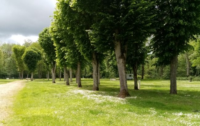 Aire de camping-car - camping de mon Village de Châtillon-Coligny - photo 5