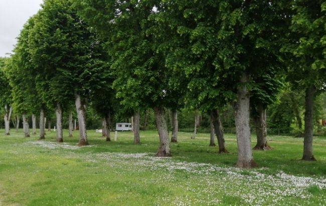 Aire de camping-car - camping de mon Village de Châtillon-Coligny - photo 3