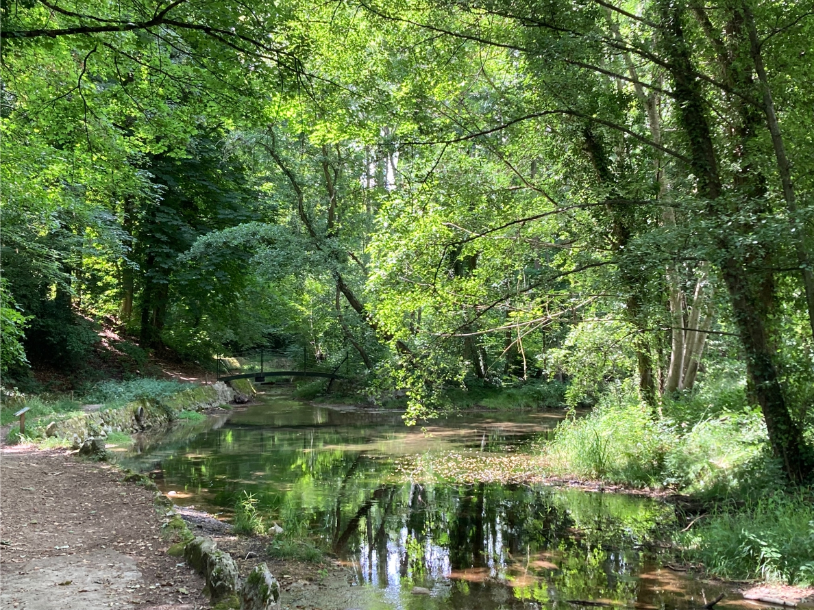 Autour de la pie, Saint-Hilaire-Saint-Mesmin