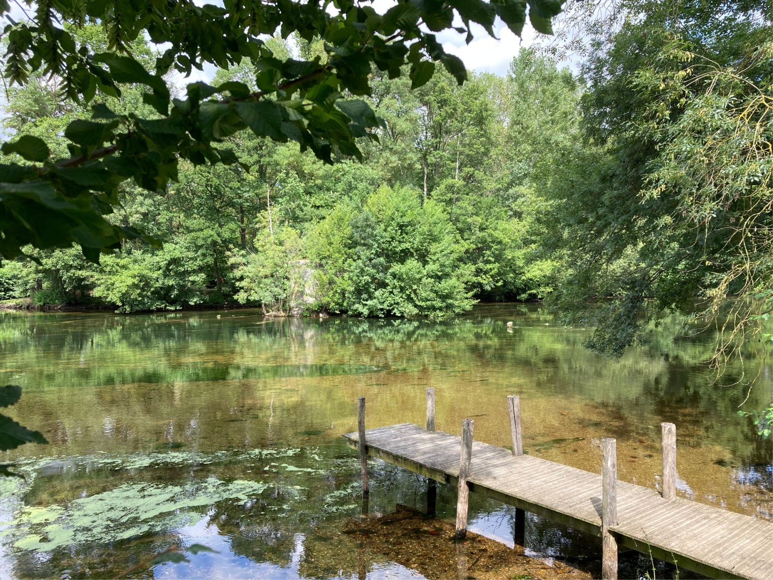 Autour de la pie, Saint-Hilaire-Saint-Mesmin - photo 2