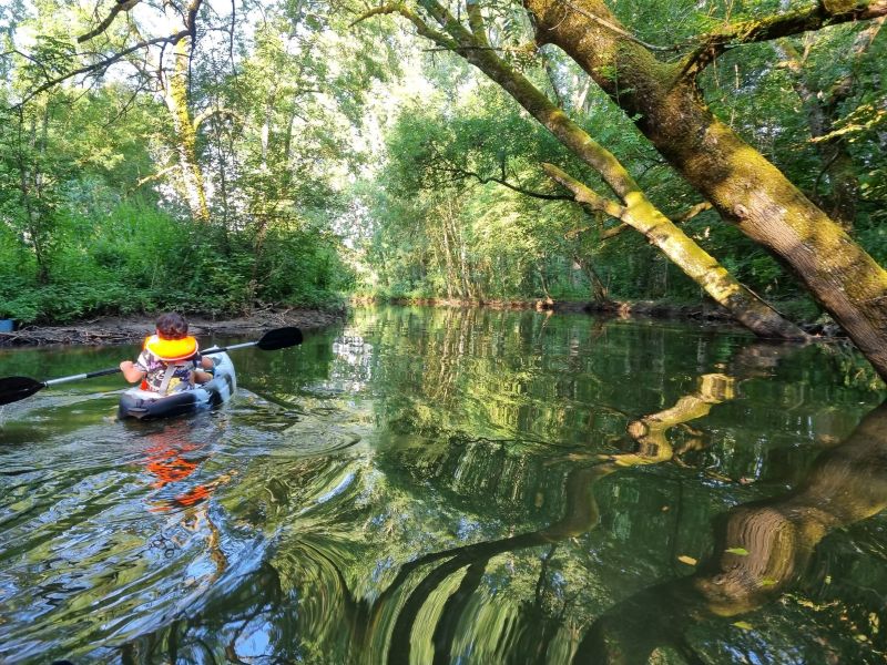 Location de kayaks au moulin de Vilaine