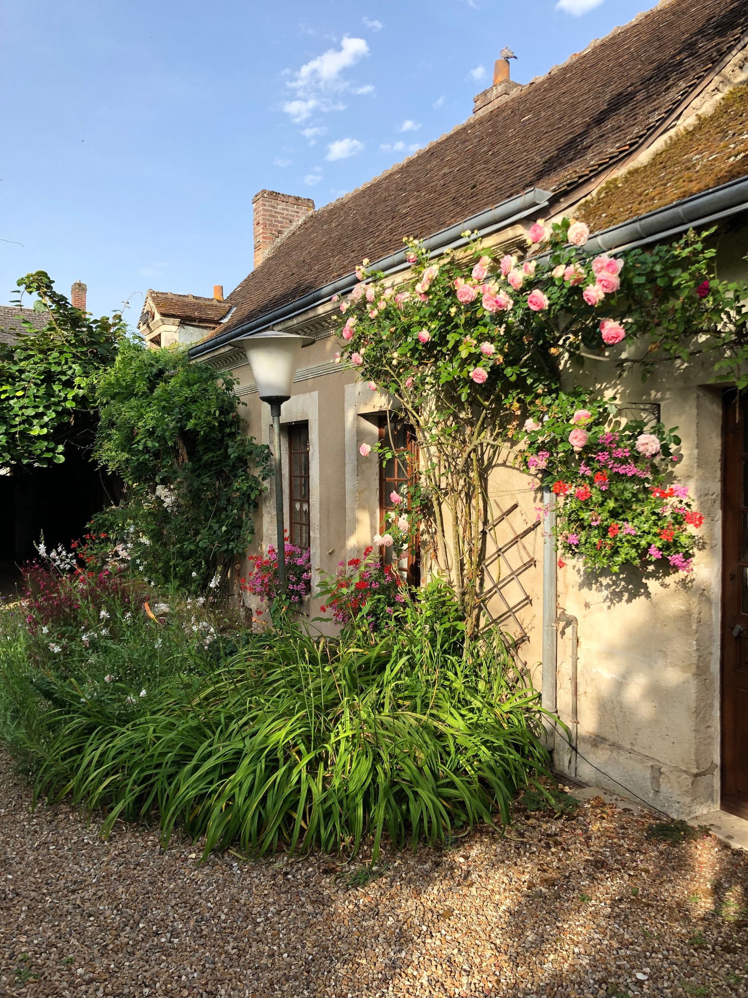 Côté Jardin, Villiers-sur-Loir - photo 5
