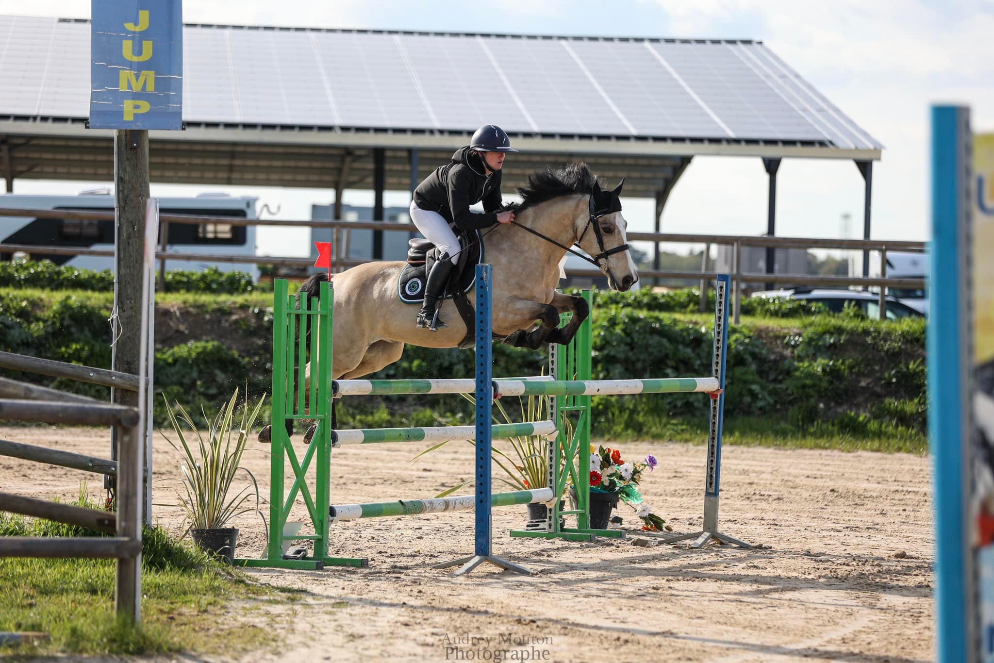 Ecurie du Gênet, Nouan-le-Fuzelier - photo 2