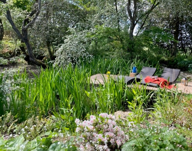 Le Grand Bois Barreau, Saint-Éman - photo 8