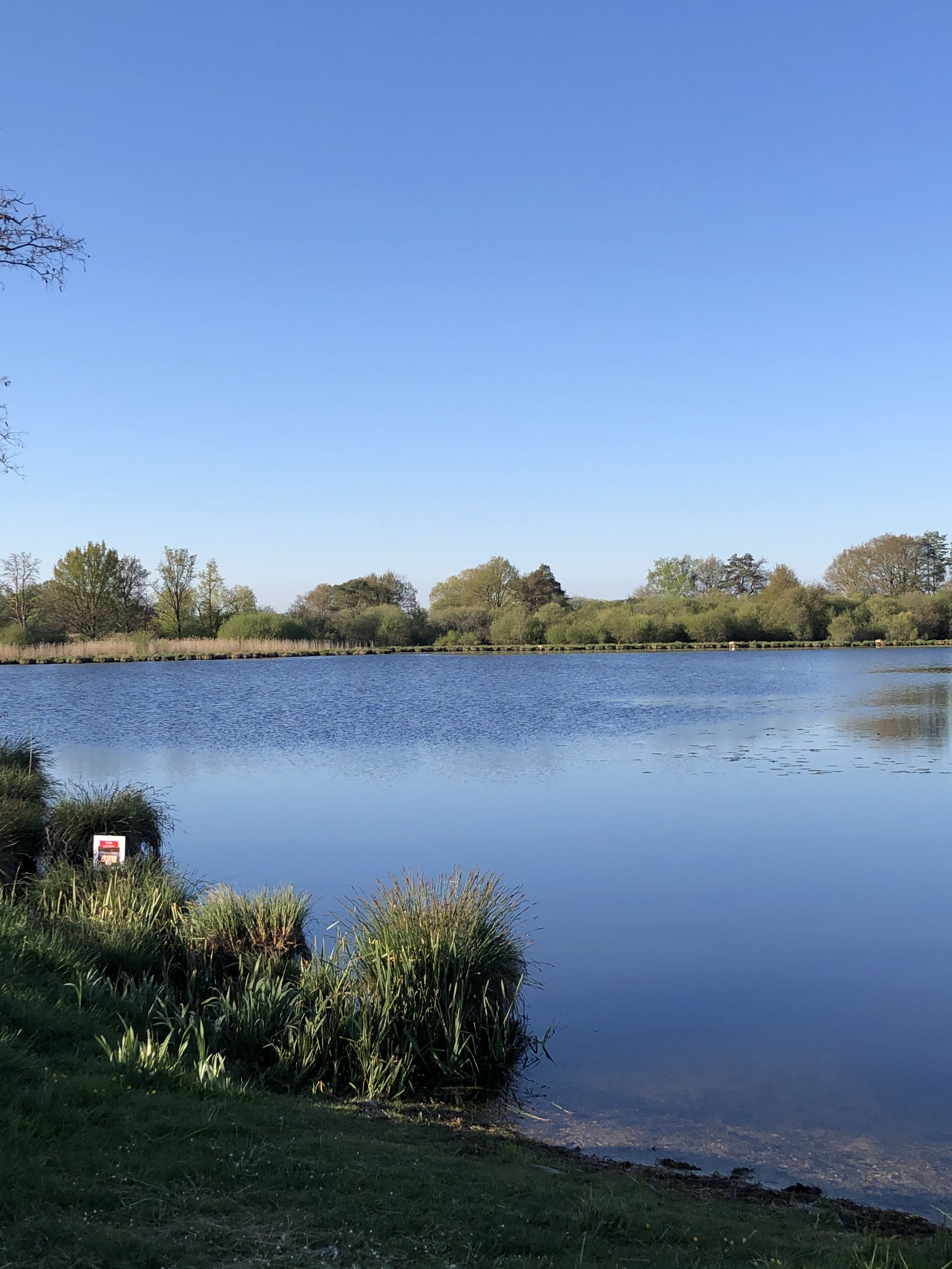 Espace naturel sensible de l'étang de la Noue Mazone, Châtenoy - photo 2