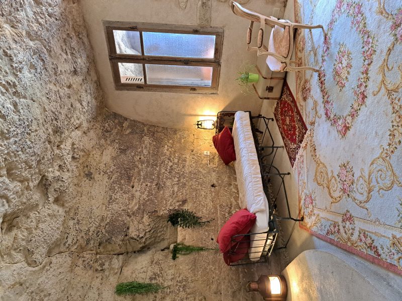 Le Grand Roc, Civray-de-Touraine - photo 3