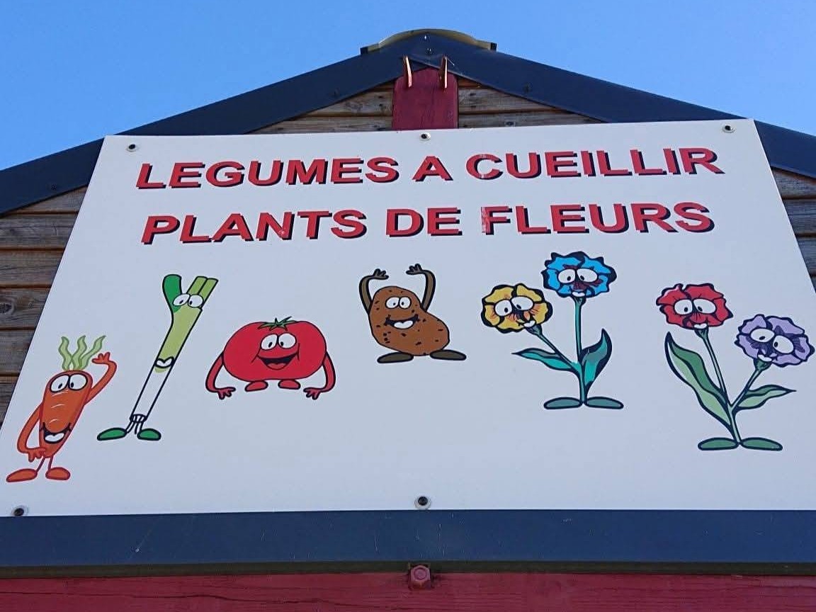 Les jardins de la Tuilerie