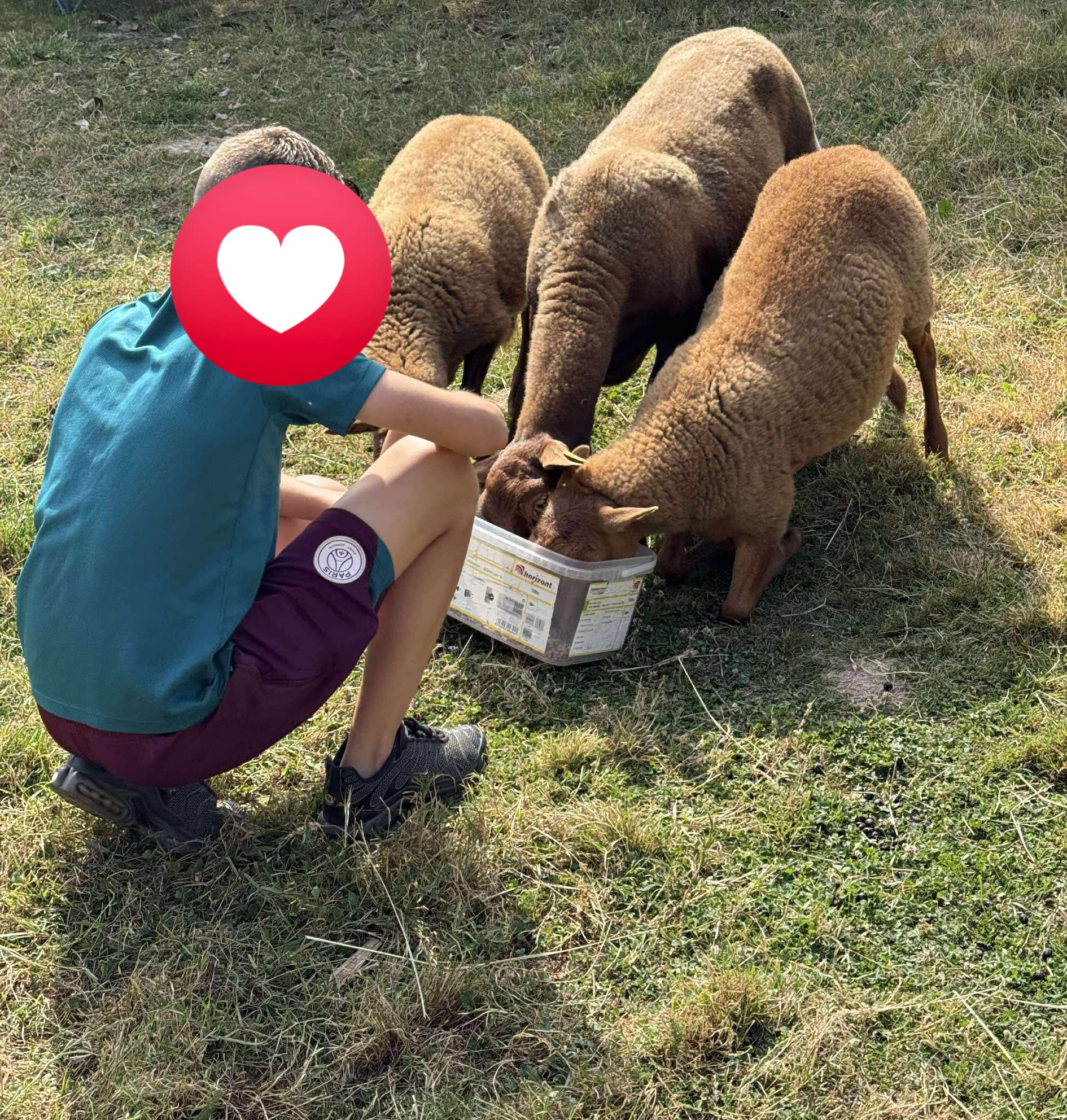 La p'tite ferme d'Helmas