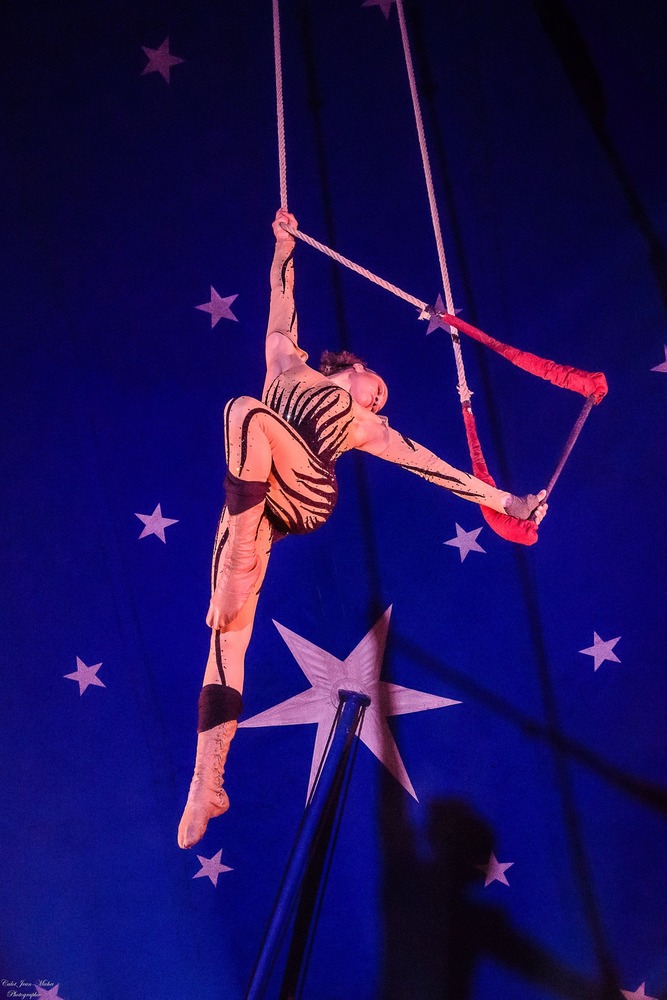 Cirque Paradiso Le Parc, Genouilly - photo 7