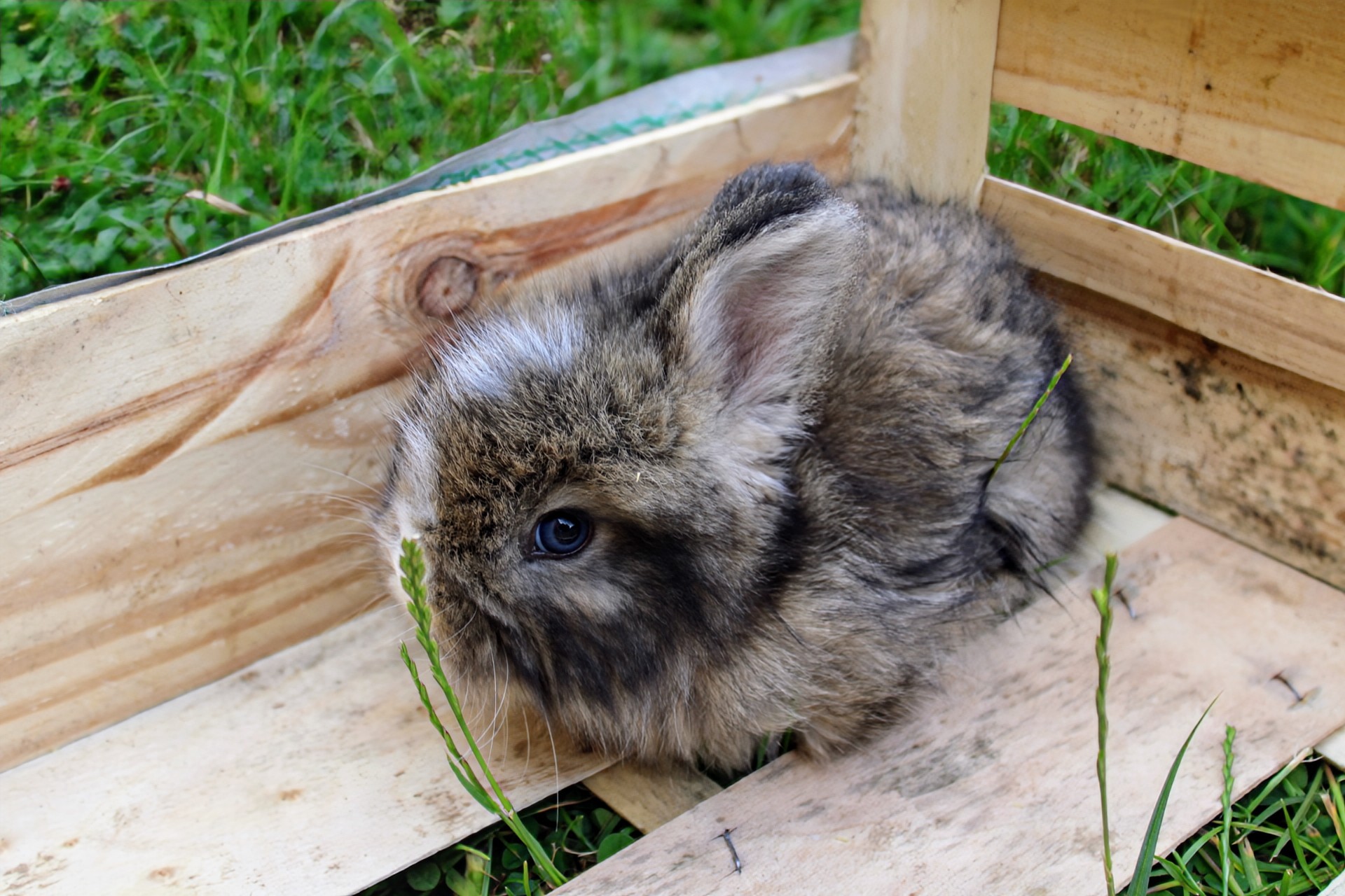 La p'tite ferme d'Helmas, Ennordres - photo 2