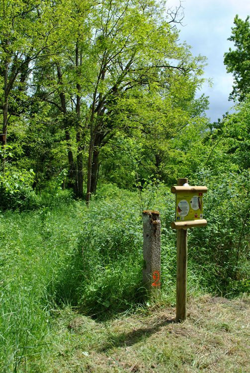 Parcours pédagogique des oiseaux, Chécy - photo 4