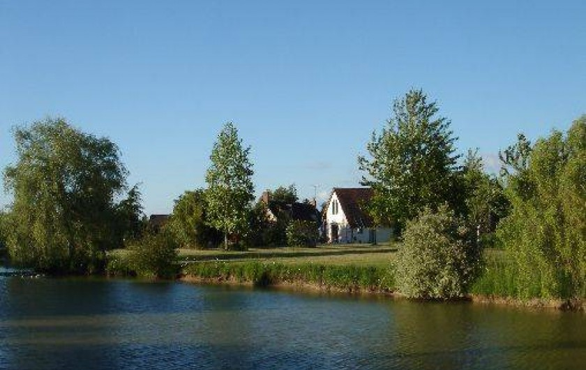 Gîte du Chêne à 2 jambes, Nibelle - photo 11