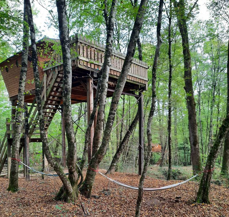 Cabane dans les arbres – L’Augis Nature Image de couverture