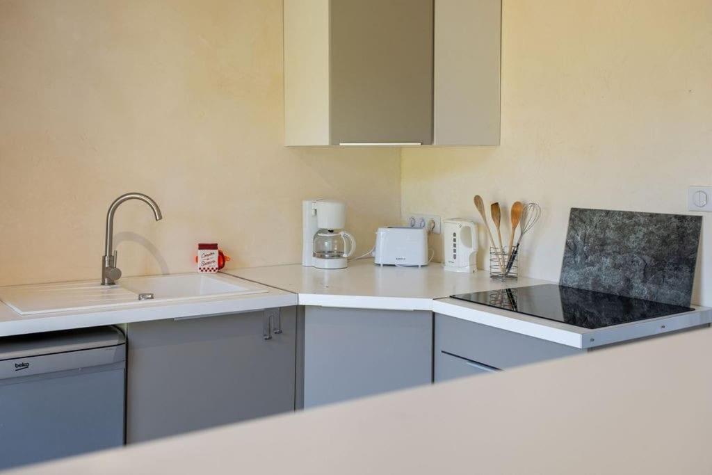 La Raboliote, Brinon-sur-Sauldre - photo 19