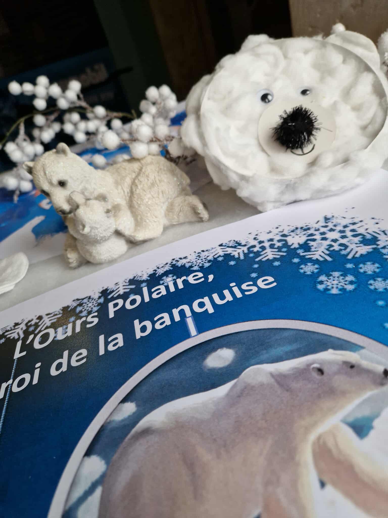 Atelier créatif : L’ours blanc, le roi de la banquise - photo 2