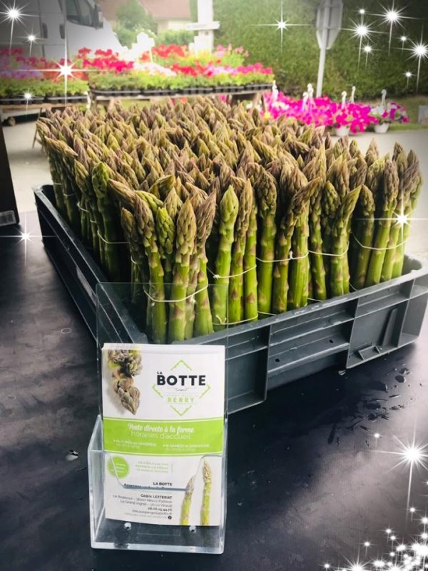 La Botte - Asperges vertes du Berry