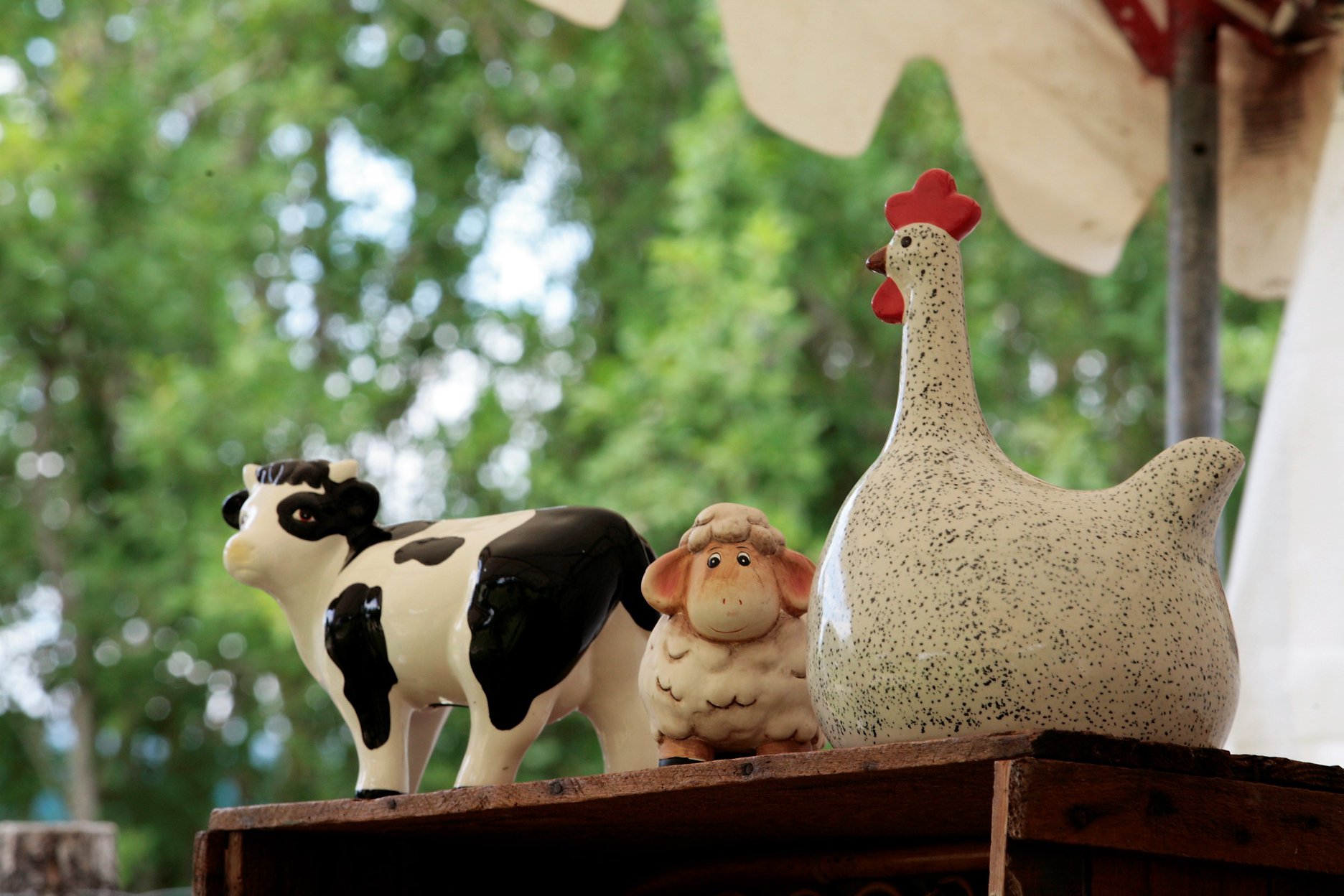 Phirisse et le petit caillou - ferme d'animation, Dry - photo 5