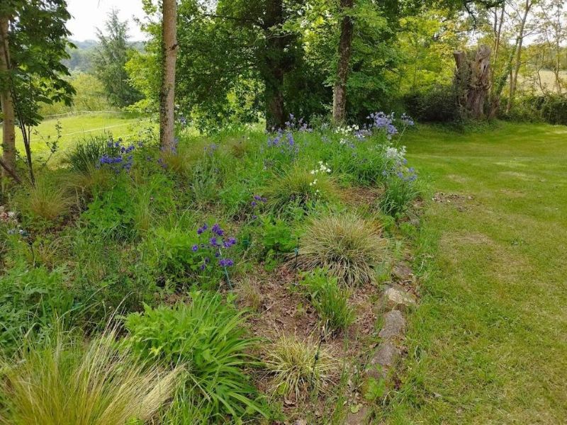 Le Surbois, La Châtre-Langlin - photo 8