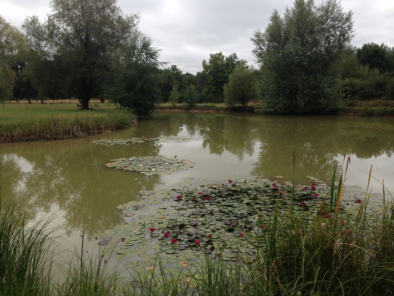 La Maison du Pont de Bois, Châtenoy