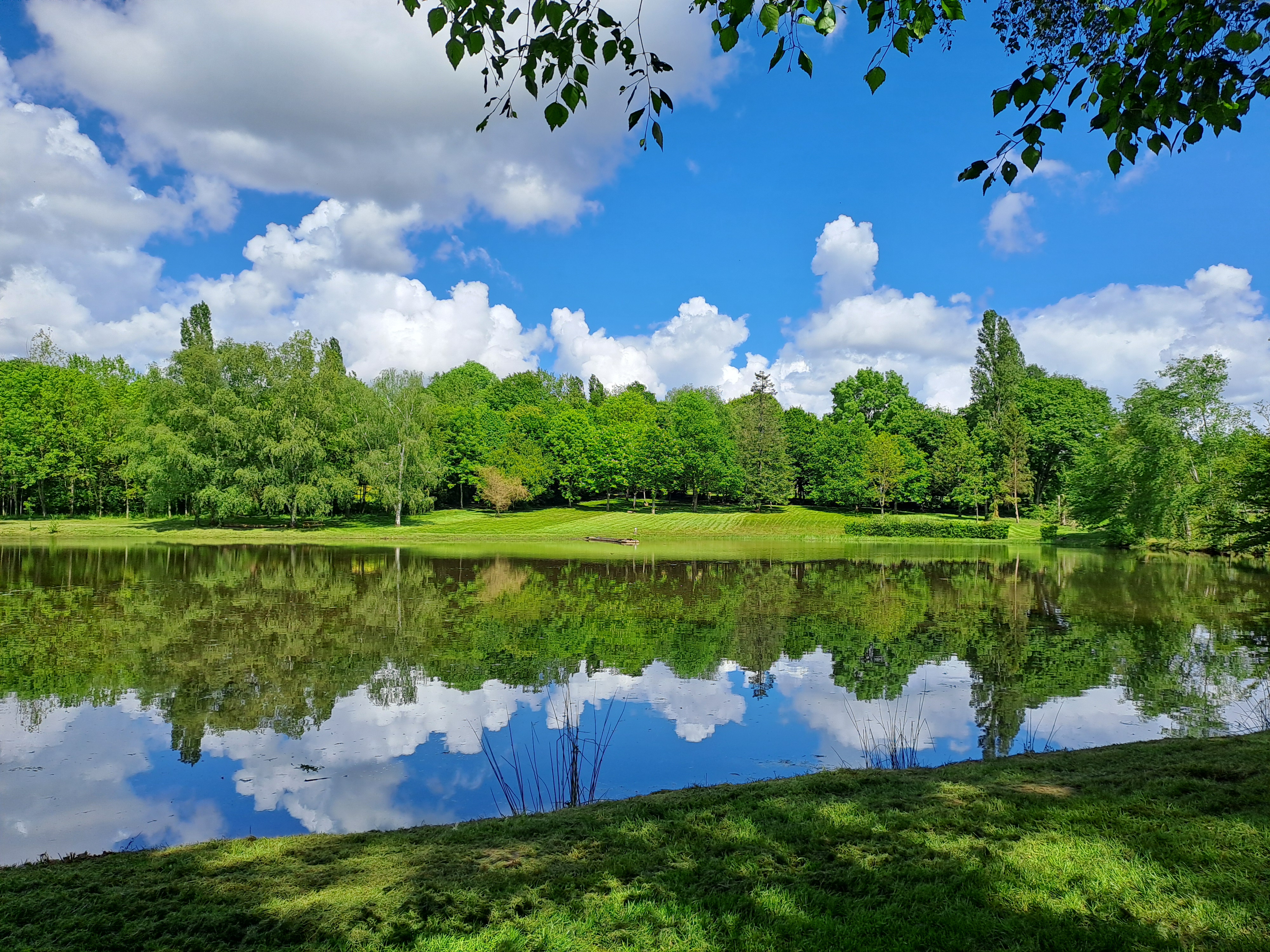 Gîte des étangs de Beaulieu, Le Plessis-Dorin - photo 3