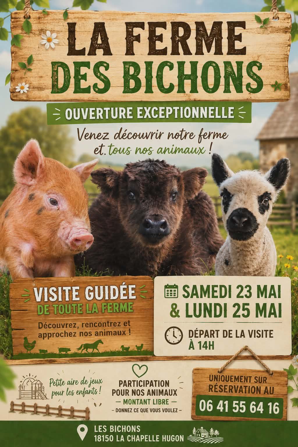 Visite de la Ferme des Bichons