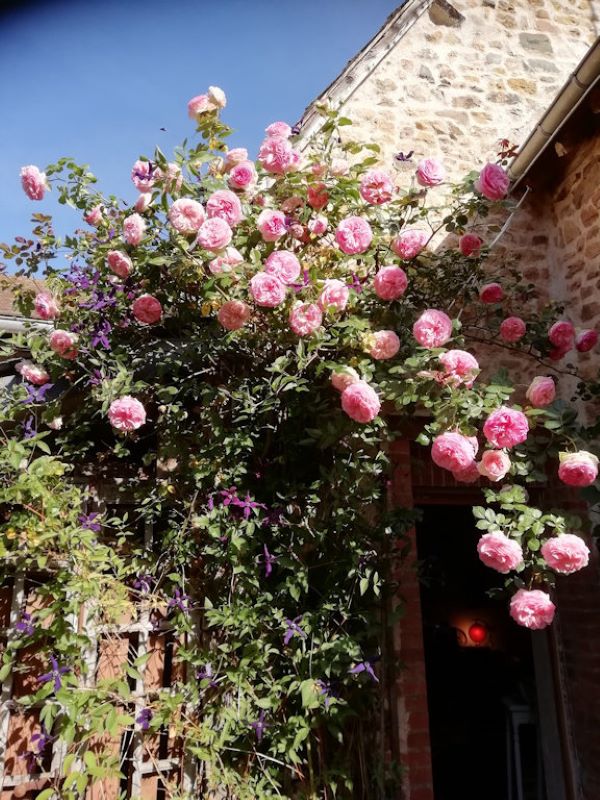 L'Atelier, Cluis - photo 3