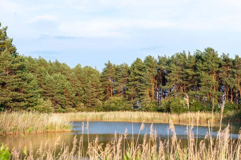 Manoir de Pierre Levée, Tournon-Saint-Martin - photo 6