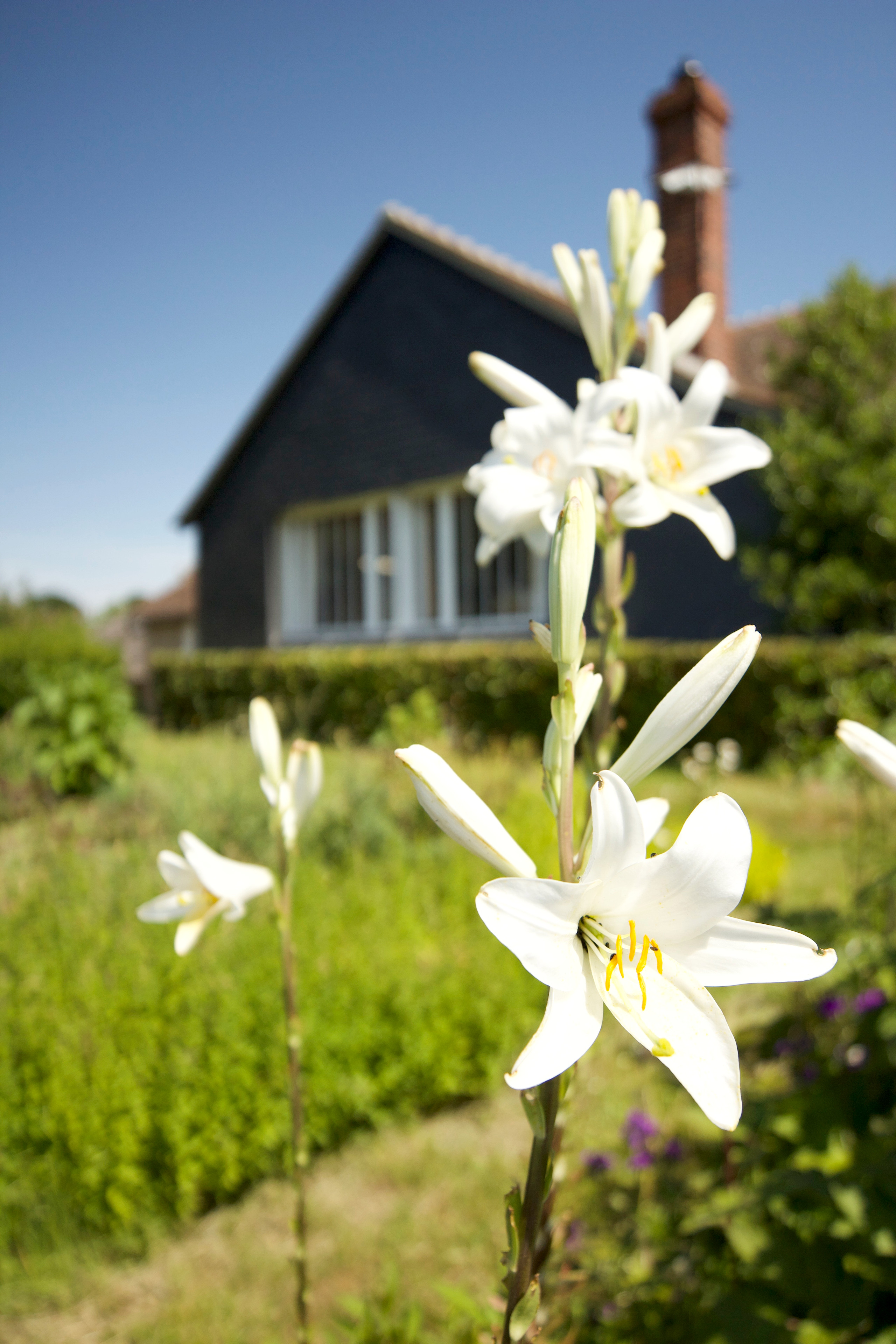 Maison Vlaminck, Rueil-la-Gadelière - photo 5