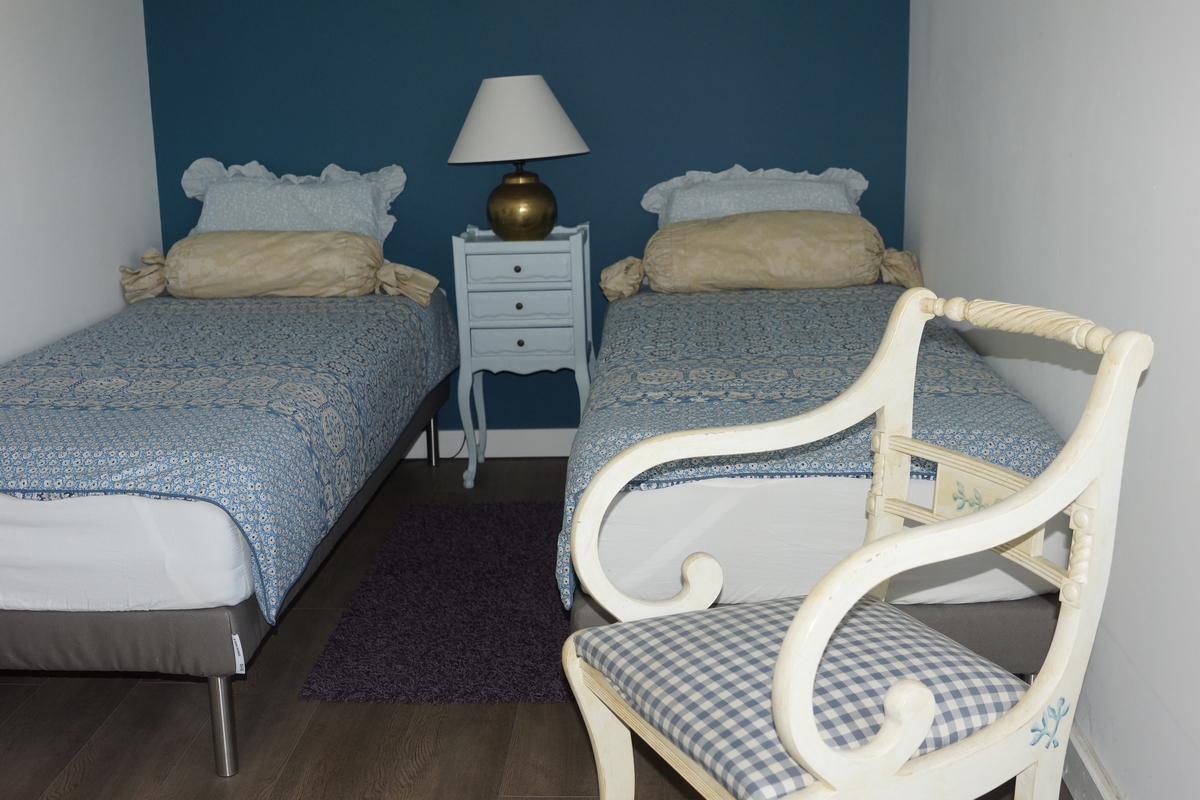 Gîte Grapevine-Angulus Ridet, Chaveignes - photo 8