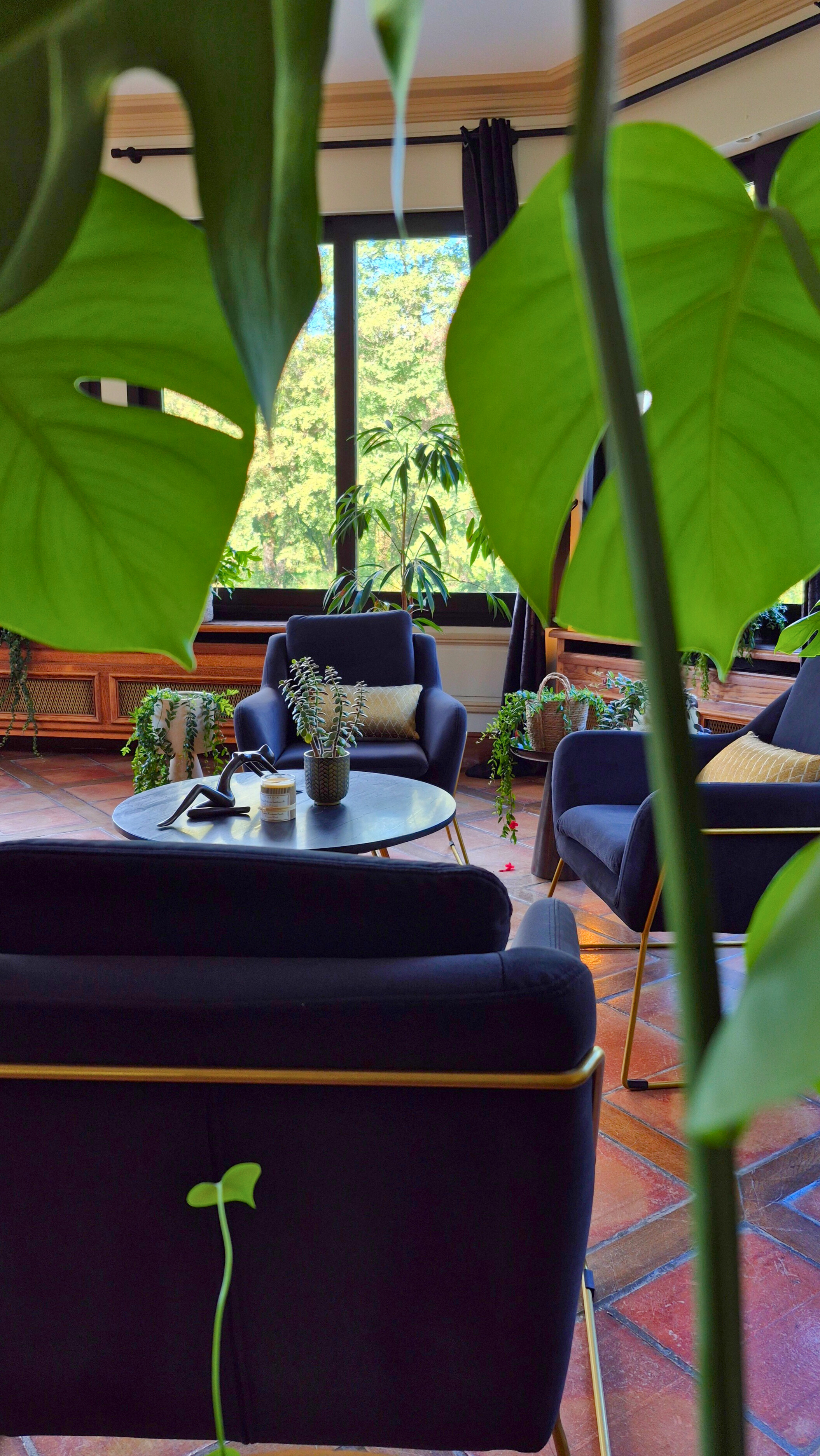 Manoir de la Sauldre, Argent-sur-Sauldre - photo 2