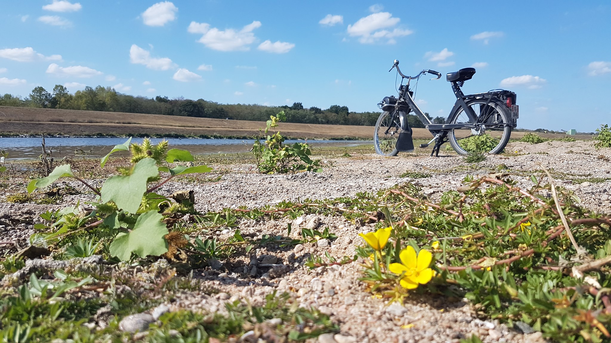 La Loire à Vélosolex – Balades en solex aux bords de Loire©