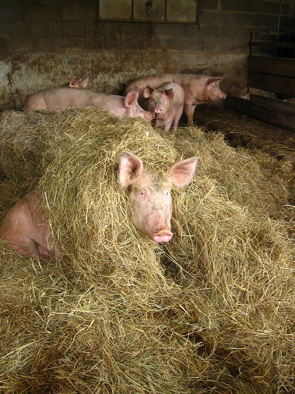 Ferme de la Prairie