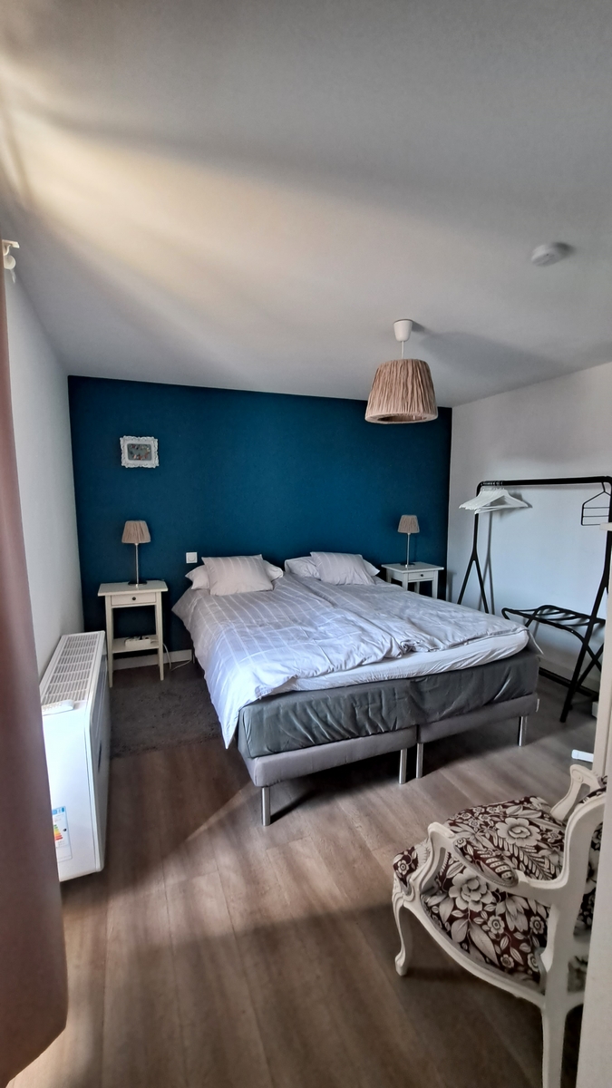 Gîte Grapevine-Angulus Ridet, Chaveignes - photo 9