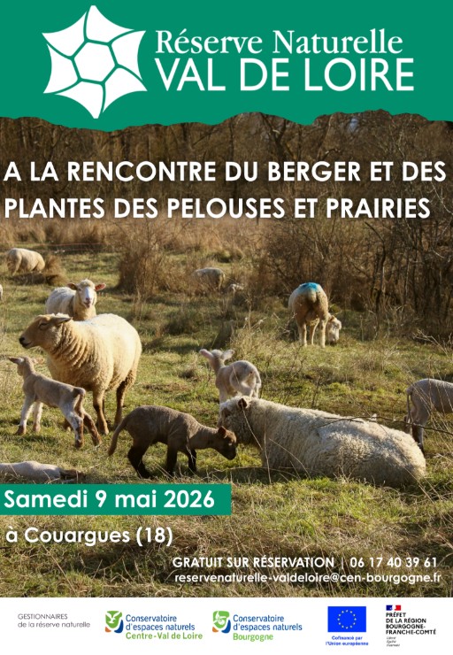 A la rencontre du Berger et des plantes des pelouses et prairies — visuel événement