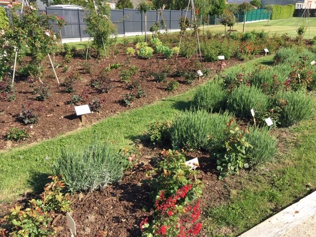 Jardin à thèmes, Quiers-sur-Bezonde - photo 4