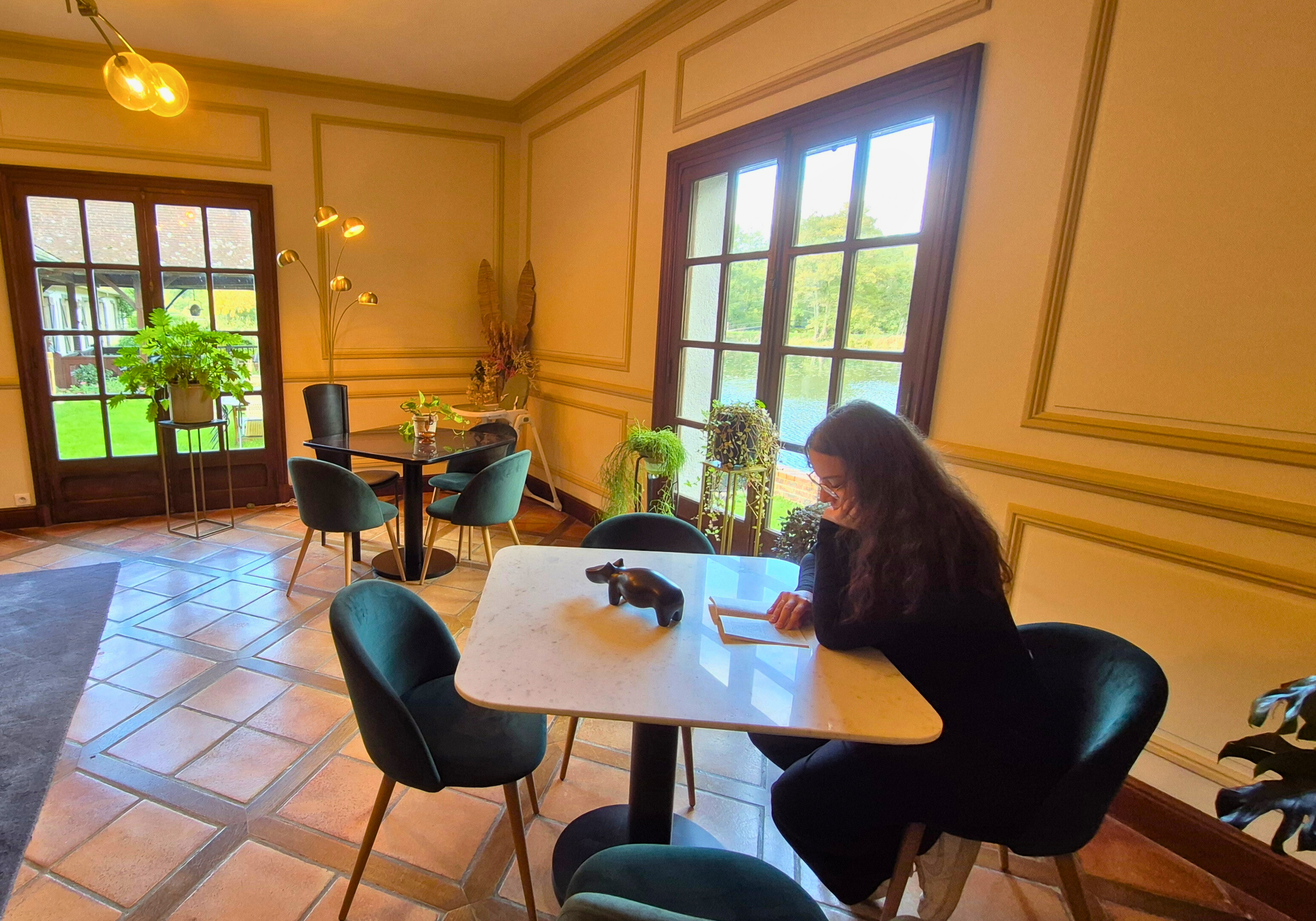 Manoir de la Sauldre, Argent-sur-Sauldre - photo 4