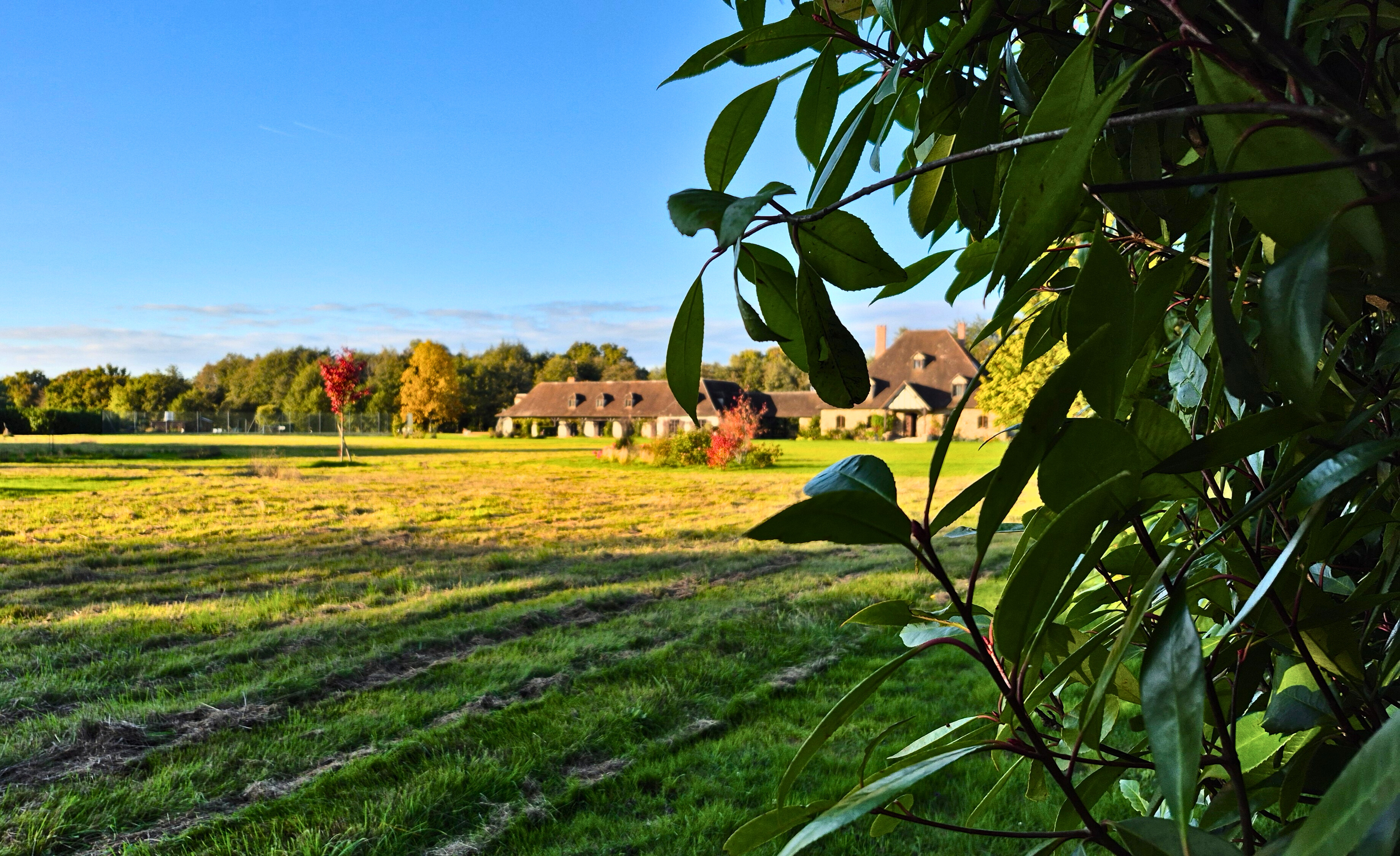 Manoir de la Sauldre, Argent-sur-Sauldre - photo 47