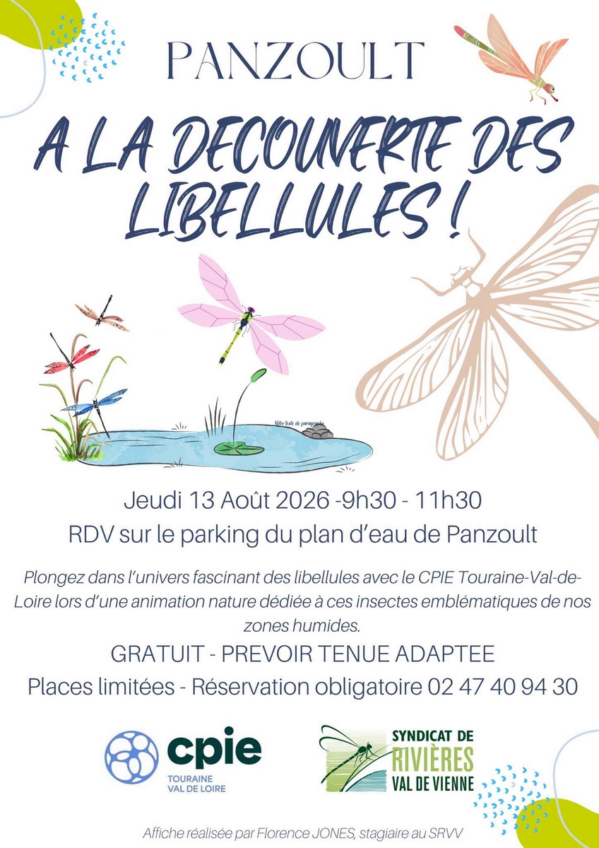 A la découverte des libellules