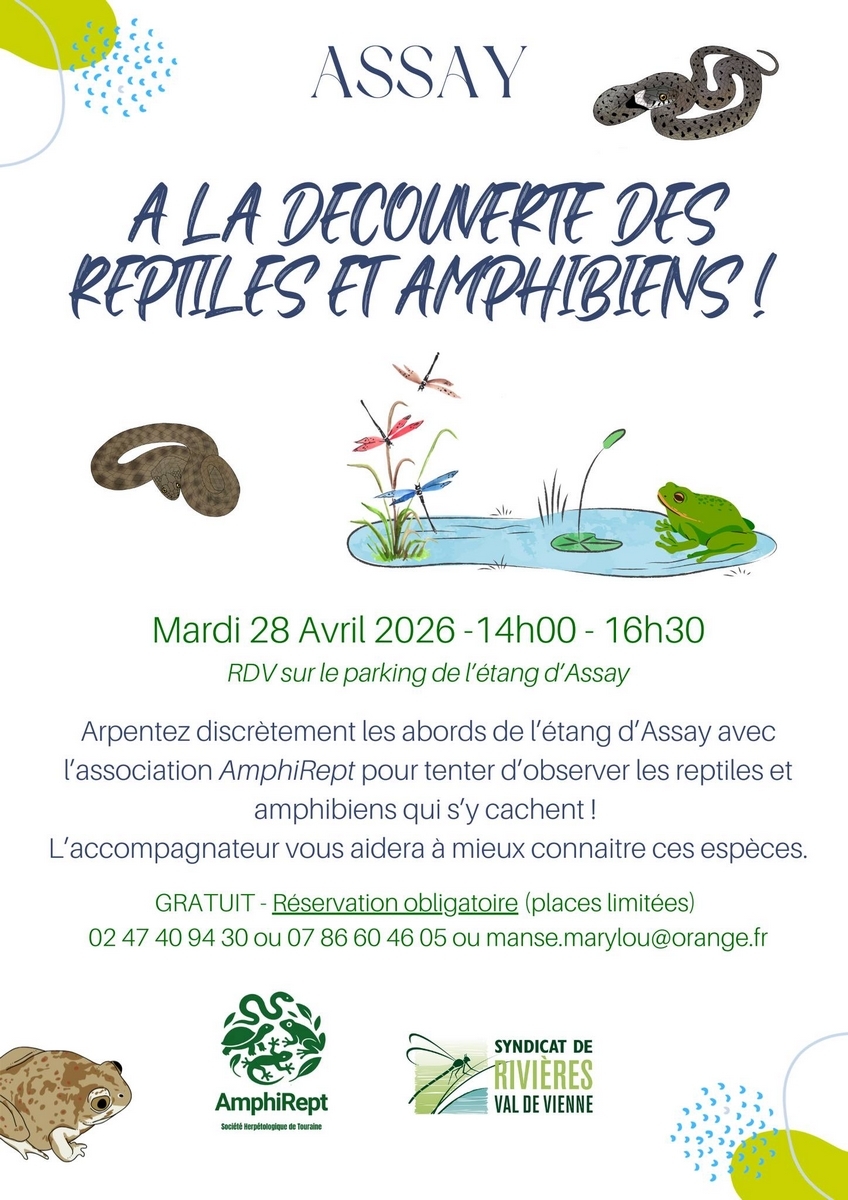 A la découverte des reptiles et amphibiens — visuel événement