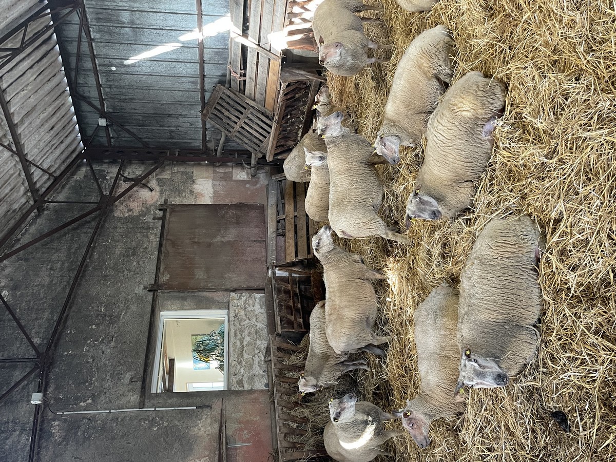 Gîte "Les Sens Ciel", Artannes-sur-Indre - photo 16