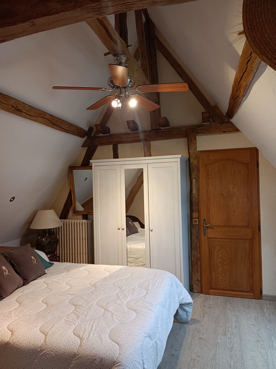 Gîte "Roses de Loire", Bréhémont - photo 5