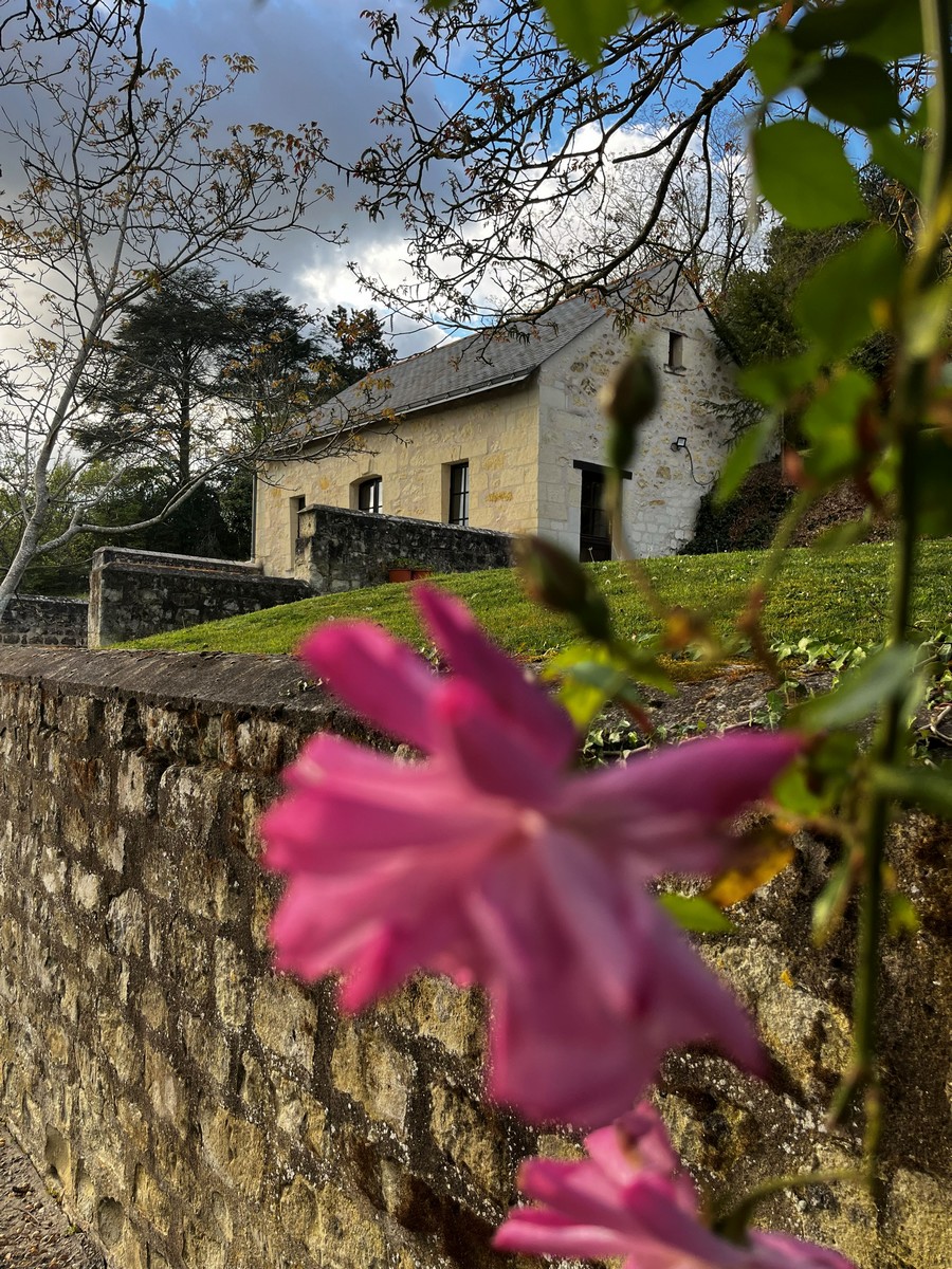 Les Cathelinettes Gîte 5 personnes, Chinon - photo 8