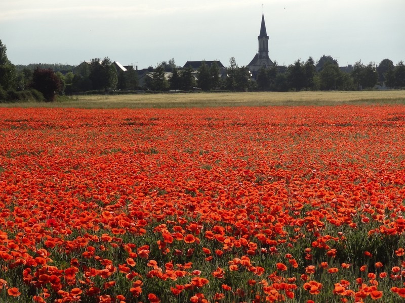 Gîte des Fromentaux, Beaumont-en-Véron - photo 10