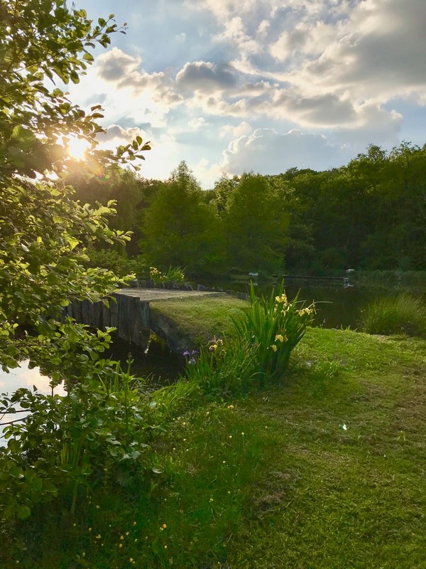 Au grand menasson, Sainte-Maure-de-Touraine - photo 12
