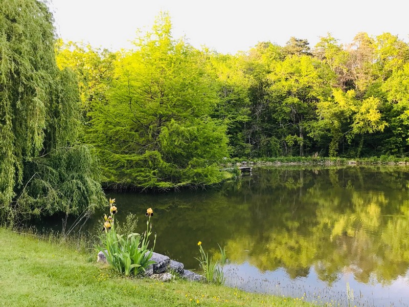 Au grand menasson, Sainte-Maure-de-Touraine - photo 10